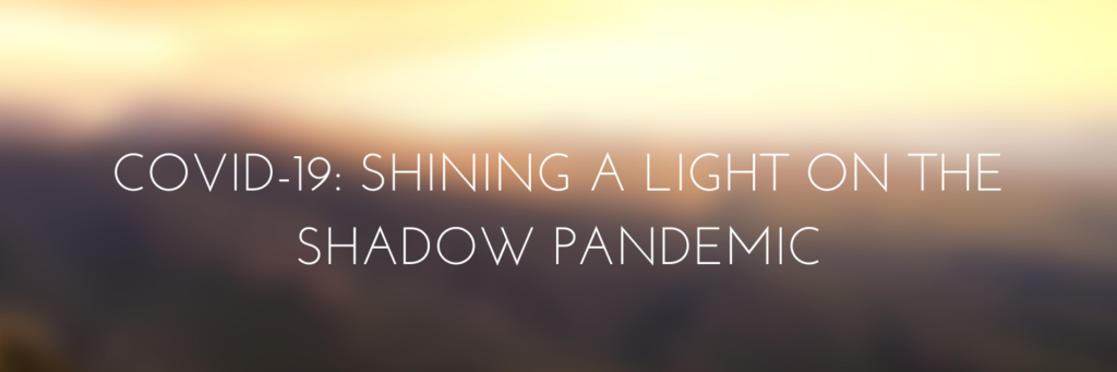 COVID-19: Shining a Light on the Shadow Pandemic – Women's Human Rights ...